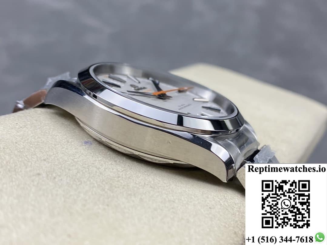 Omega Seamaster 220.10.41.21.02.001 N1 factory silver-white dial