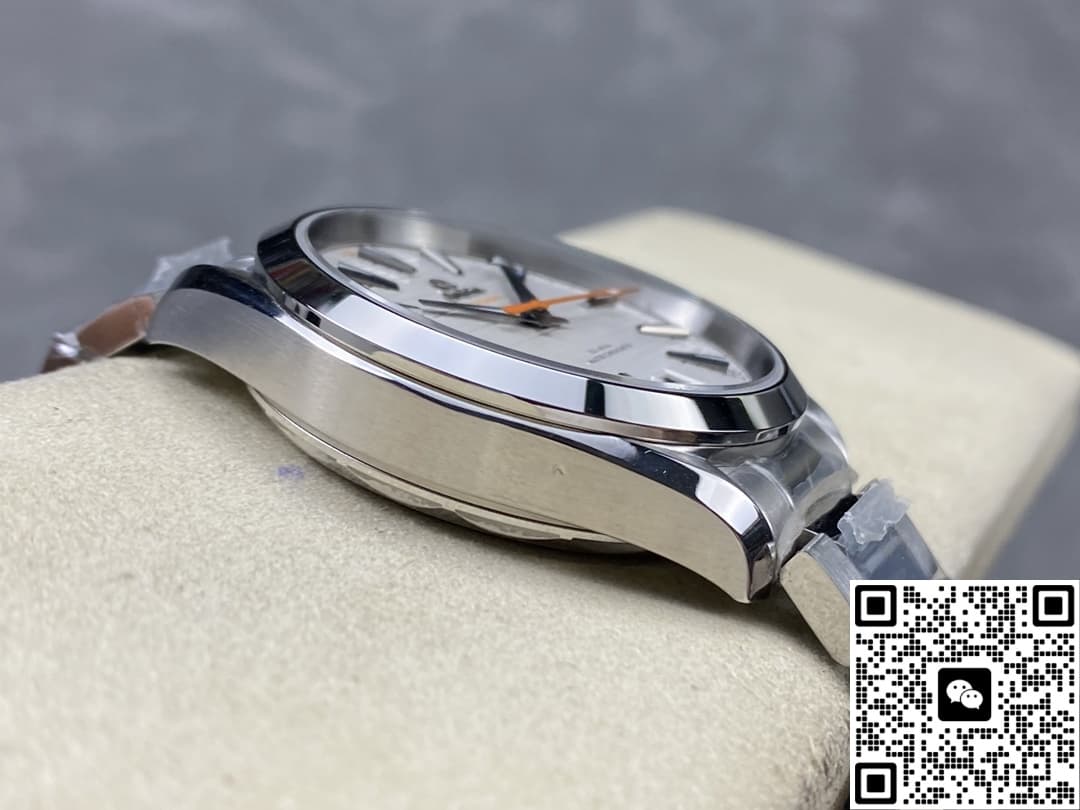 Omega Seamaster 220.10.41.21.02.001 N1 factory silver-white dial