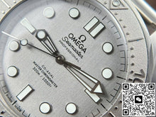 Omega Seamaster 210.30.42.20.06.002 VS Factory Grey Dial