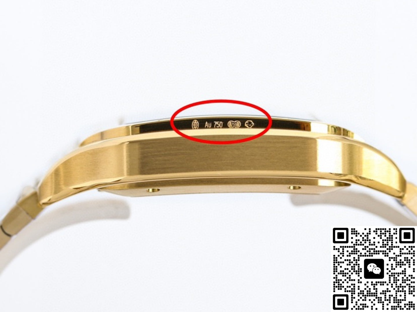 Cartier Santos WGSA0095 TW Factory Date Display