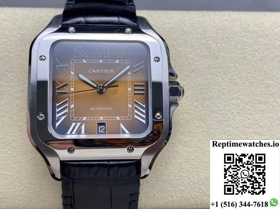 Cartier Santos WSSA0064-01 BV Factory leather strap